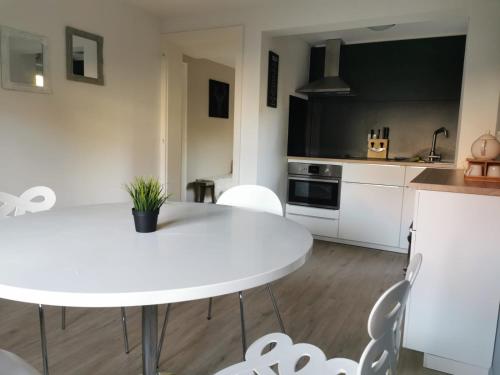 Η κουζίνα ή μικρή κουζίνα στο " Petit Cocon 67 " cosy F2 de 65m2 proche Strasbourg