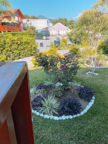 a garden with some plants in the grass at Villarreal Lodge Hotel Ecológico in Totolapan