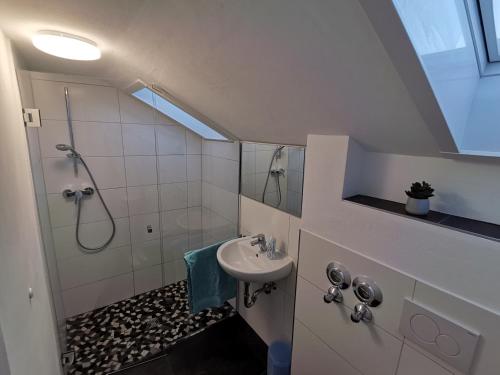 La petite salle de bains est pourvue d'un lavabo et d'une douche. dans l'établissement Ferienwohnung Bene, à Oberau