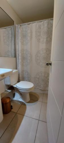 a bathroom with a toilet and a sink and a shower at DEPARTAMENTO POR DÍA EN LA CIUDAD DE ARICA. in Arica