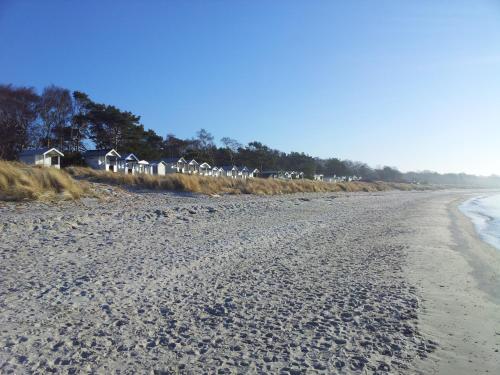 a beach with a row of houses in the distance at EFS Höllviksstrand in Höllviken