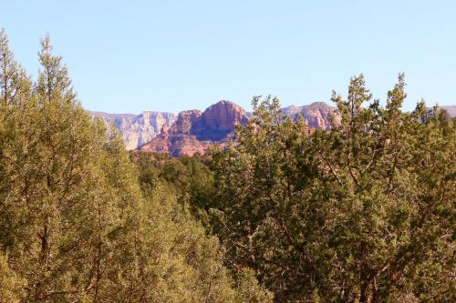 a group of trees with mountains in the background at Cathedral Casita at Sedona Cathedral Hideaway LLC in Sedona