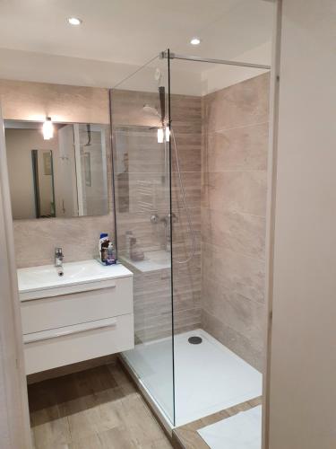W łazience znajduje się prysznic, umywalka i lustro. w obiekcie Oranger w Nicei