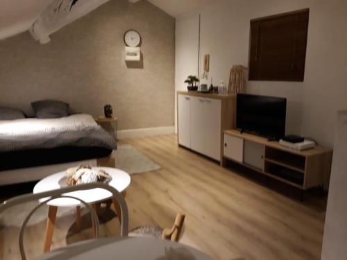 uma sala de estar com uma cama e uma televisão em 5 Rue du Jeu de Paume Appartem em Valence