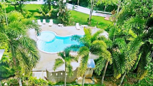 喀比的住宿－甲米金山酒店，享有棕榈树游泳池的顶部景致