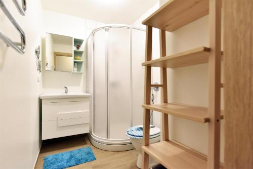 a bathroom with a shower and a toilet and a sink at Butas trijų kambarių in Palanga