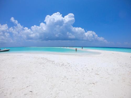 a beach with a group of people in the water at Kahanbu Ocean View in Thulusdhoo