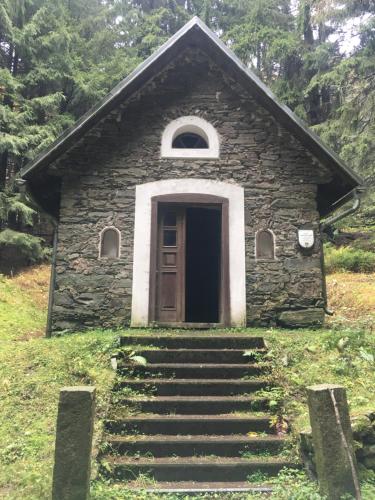 Zahrada ubytování Apartmány Trio Horní Maršov