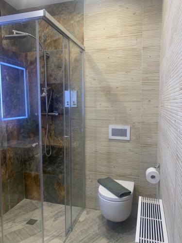 a bathroom with a glass shower and a toilet at Hotel Riojano in Humanes de Madrid
