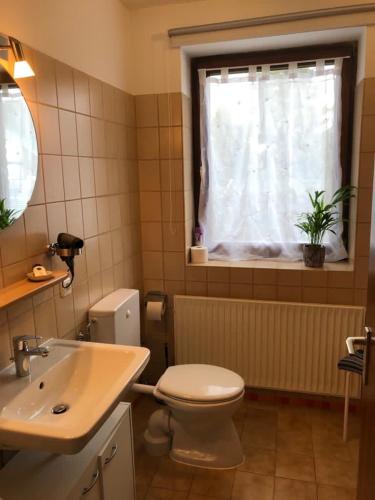 a bathroom with a toilet and a sink and a window at Haus Osterwiese in Lüneburg