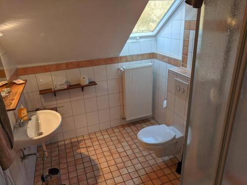 a small bathroom with a toilet and a sink at Haus am Grasberg in Poppenhausen