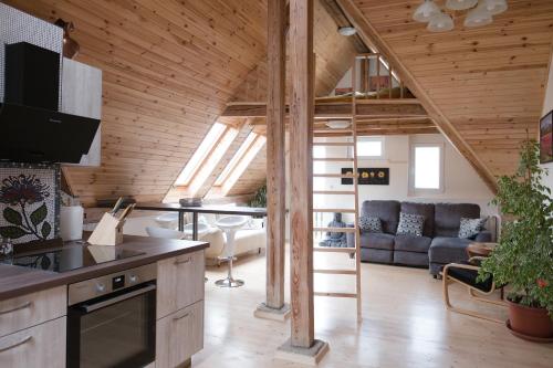 Кухня або міні-кухня у art-house 3 attic apartment with terrace