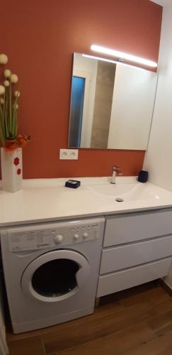 La salle de bains est pourvue d'un lave-linge et d'un lavabo. dans l'établissement Sweet home, à Saint-Médard-en-Jalles