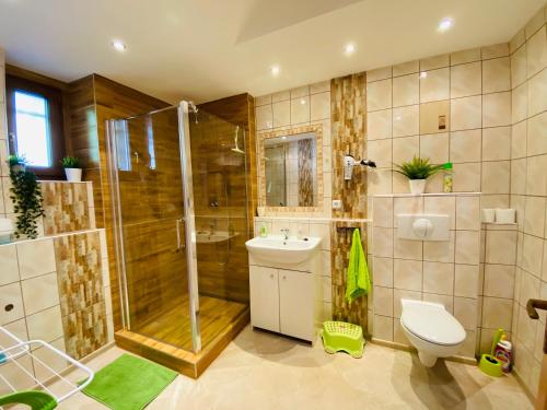 La salle de bains est pourvue d'une douche, de toilettes et d'un lavabo. dans l'établissement Apartmán pod Božím Darem, à Jáchymov