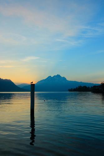 a pole in the middle of a body of water at Seehotel Gotthard in Weggis