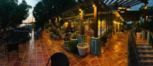 a patio with a bunch of potted plants on it at Puertas in Vieques
