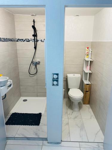 a bathroom with a shower and a toilet at Agréable studio à proximité de Paris et Henri Mondor in Créteil