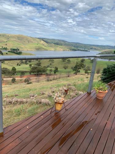 a wooden deck with two potted plants on it at Amazing Views Pet Friendly Bed and Breakfast in Yass