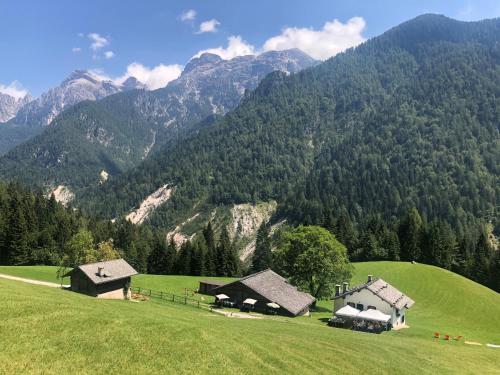 a green field with two barns in front of a mountain at Hotel Isolabella Wellness in Fiera di Primiero