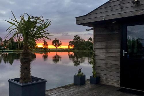 a house with a potted plant in front of a lake at Aangenaam op de Rijn, woonboot, inclusief privé sauna in Alphen aan den Rijn