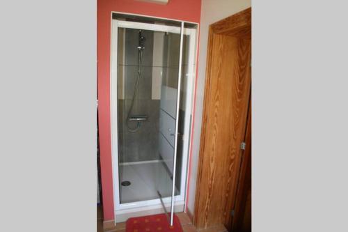 een douche in een badkamer met een glazen deur bij Studio privatif au centre de Lobbes in Lobbes