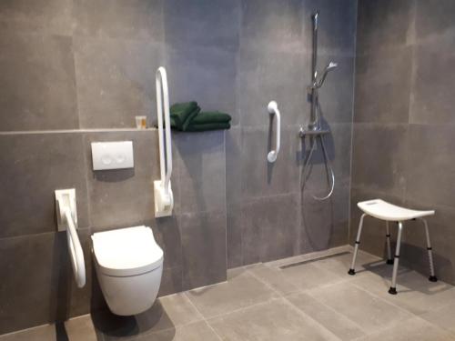 łazienka z prysznicem, toaletą i stołkiem w obiekcie B&B In de Wei w mieście Erp