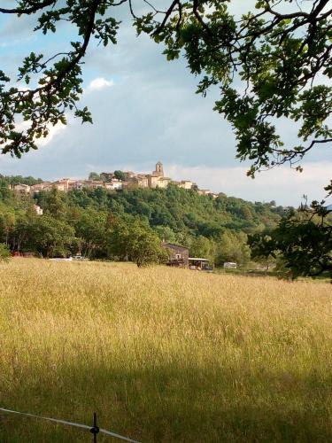 a castle on a hill behind a field of grass at Camping du Moulin de Thoard in Thoard