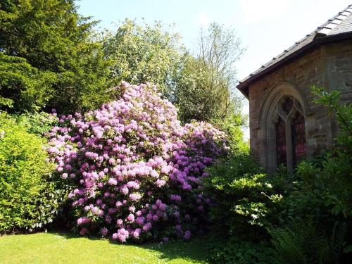 A garden outside Old Vicarage B&B 