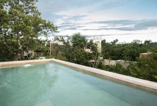 a swimming pool in the backyard of a house at Panacea Condo Tulum in Tulum