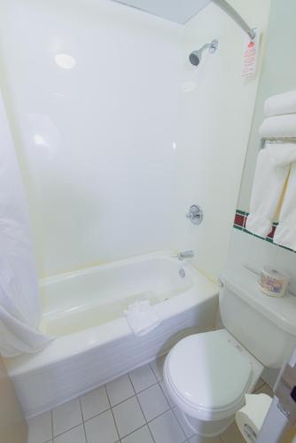a bathroom with a toilet and a tub and a sink at Canad Inns Destination Centre Windsor Park in Winnipeg