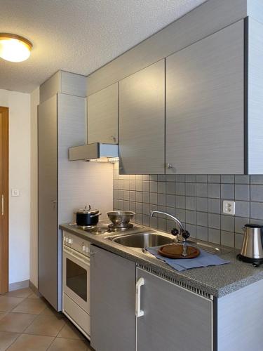 - une cuisine avec un évier et un comptoir dans l'établissement St Martin Apartments, à Täsch