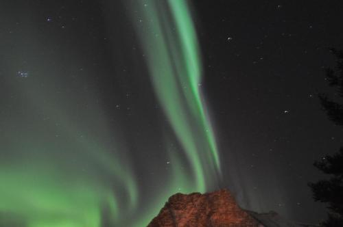 an image of the northern lights in the sky at Kabelvåg Feriehus & Camping in Kabelvåg