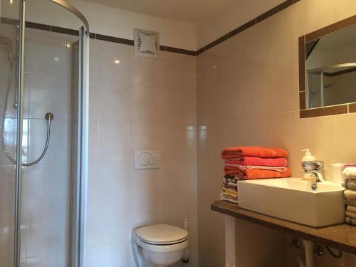 ein Bad mit einem WC, einem Waschbecken und einer Dusche in der Unterkunft Ferienwohnung Marlene in Alpbach
