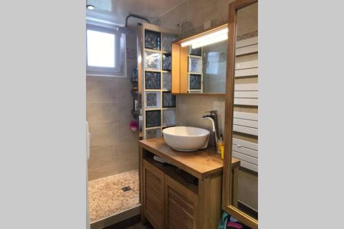 La salle de bains est pourvue d'un lavabo et d'un comptoir avec un miroir. dans l'établissement Joli appartement avec jardin - La Maôve, à Cabourg