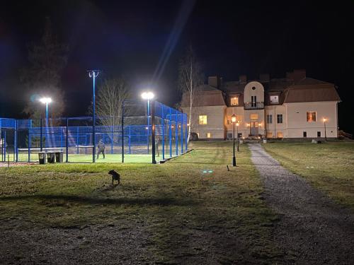 a dog standing in front of a building at night at Norrfly Herrgård in Kilafors