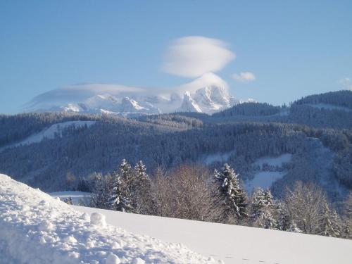 Gallery image of Apartment Urstöger in Gosau