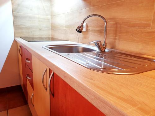 a kitchen with a sink and a wooden counter at Pensiunea Eliza in Sinaia