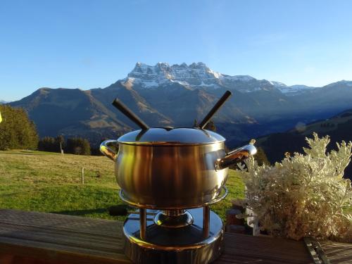 a pot on a stove with a mountain in the background at Chalet Chanso in Morgins