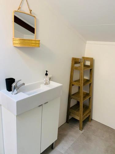 a bathroom with a sink and a mirror and a ladder at Beach House Parallel in Noordwijk