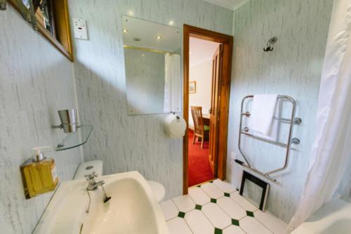 a bathroom with a sink and a toilet and a mirror at The Buzzard in Crianlarich