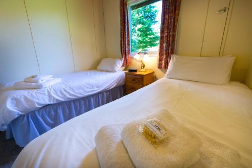two beds in a small room with a window at Kestrel Lodge with mountain view free wifi in Crianlarich