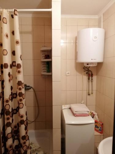een kleine badkamer met een toilet en een douche bij Квартира поблизу озера, паркова зона in Ternopilʼ