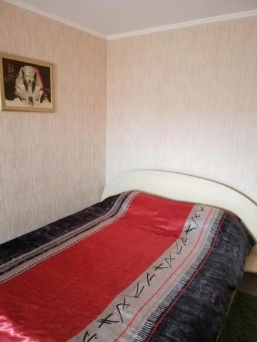 een bed met een rode deken en een foto aan de muur bij Квартира поблизу озера, паркова зона in Ternopilʼ