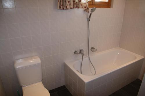 ein Bad mit einer Badewanne, einem WC und einer Dusche in der Unterkunft Meinaz QUIET & SUNNY apartments in Veysonnaz