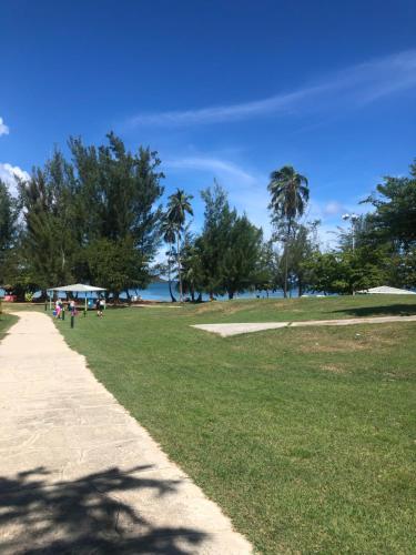 a path in a park with palm trees and the ocean at Marina Lanais Condominio in Las Croabas