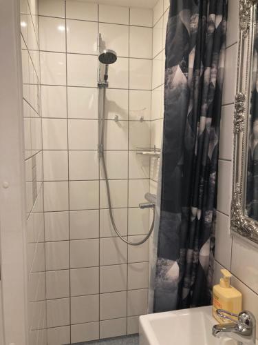 a bathroom with a shower and a sink at Renthouse Guest Apartment in Paide