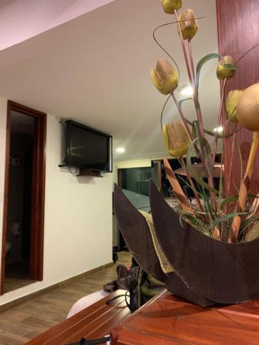 um vaso com uma planta numa mesa num quarto em Loft Don Silver em Zacatlán