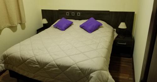 una camera da letto con un grande letto con cuscini viola di Hotel Trinidad a Trinidad