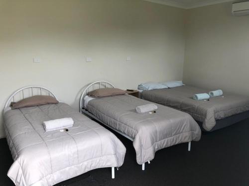 three beds are lined up in a room at The Golden Dog Hotel in Nana Glen