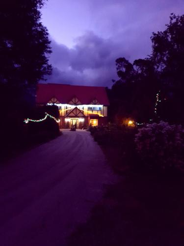 a street scene with lights and a house at Oaktree Guest House in Narbethong